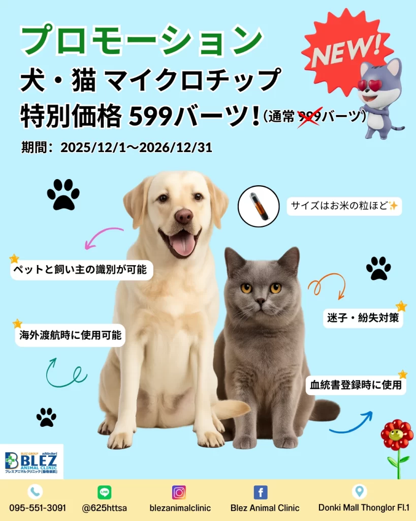 犬・猫マイクロチップ装着キャンペーン 特別価格599THB（2025/12/1〜2026/12/31）