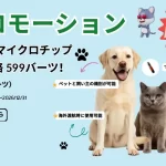 犬・猫マイクロチップ装着キャンペーン 599THB（2025/12/1〜2026/12/31）