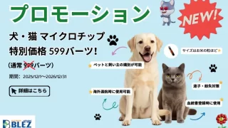 犬・猫マイクロチップ装着キャンペーン 599THB（2025/12/1〜2026/12/31）