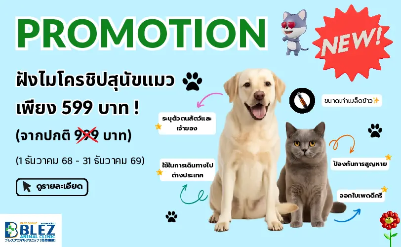 โปรโมชันฝังไมโครชิปสุนัขและแมว 599 บาท (1 ธ.ค. 2025–31 ธ.ค. 2026)